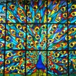 peacock stained glass