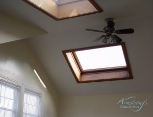 Skylight Repair